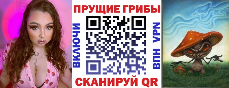 Псилоцибиновые грибы Cubensis  Купить где  Невельск 