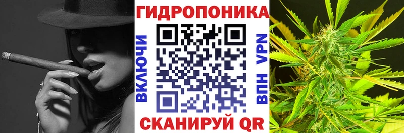 Каннабис индика  Купить  Невельск 